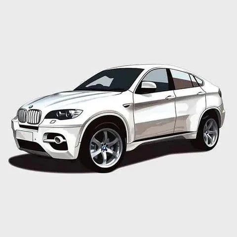 BMW X6 Series E71